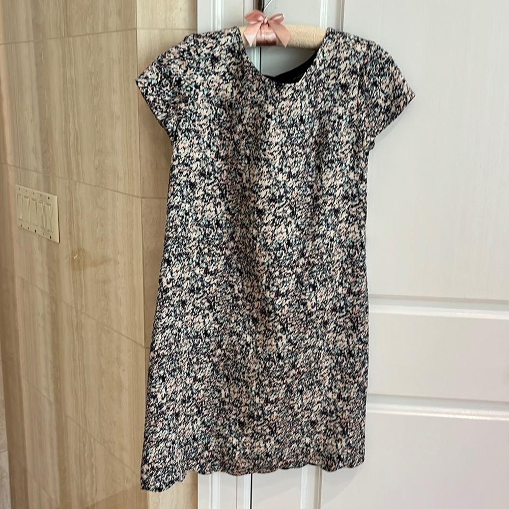 Club Monaco dress
